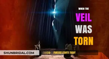 When the Veil Was Torn: Unveiling the Divine Connection