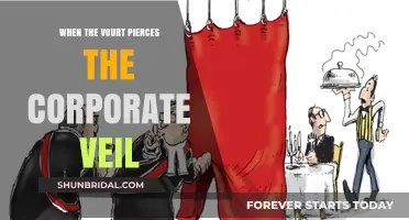 When Courts Pierce the Corporate Veil: Risks, Reasons, and Ramifications