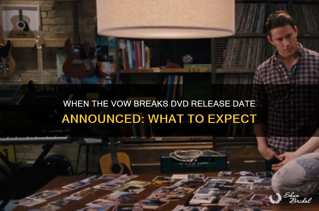 when the vow breaks dvd release date