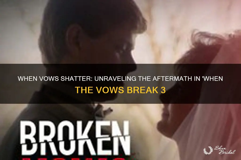 when the vows break 3