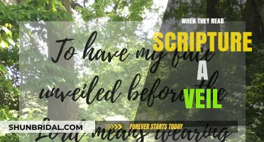Unveiling Truth: Understanding the Scripture Veil in Modern Faith Journeys