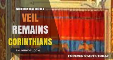 Unveiling Corinthians: Understanding the Veil in the Old Testament