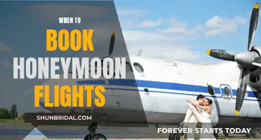 Honeymoon Flight Booking: The Perfect Time to Plan Your Escape