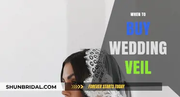 Perfect Timing: When to Purchase Your Dream Wedding Veil