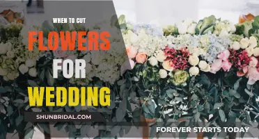 The Perfect Time to Cut Wedding Flowers