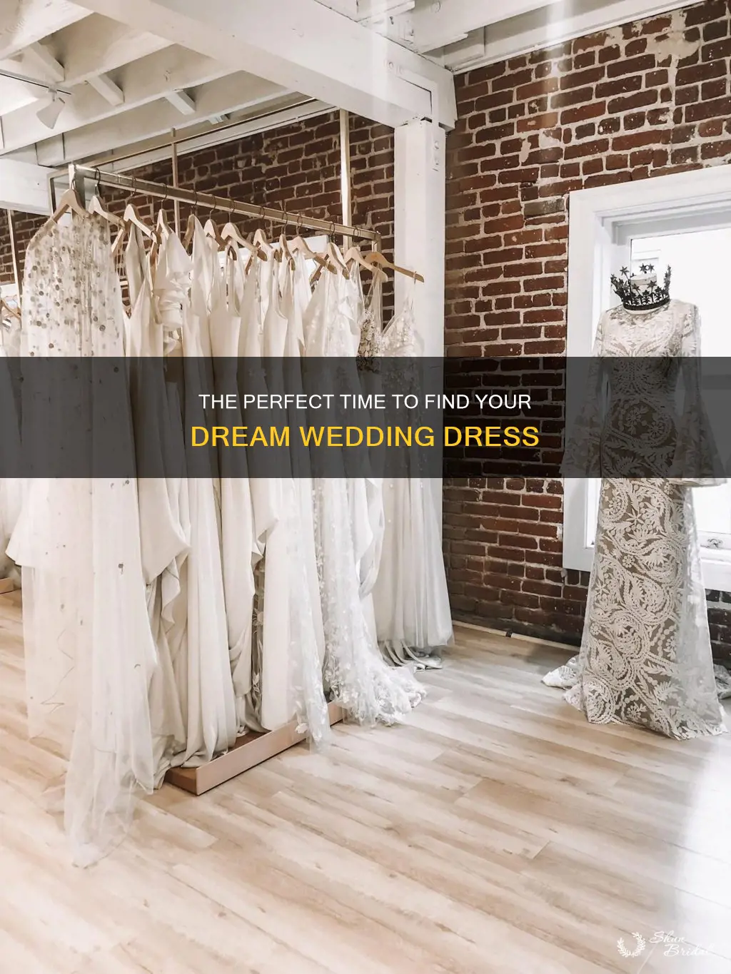 when to dress shop for wedding