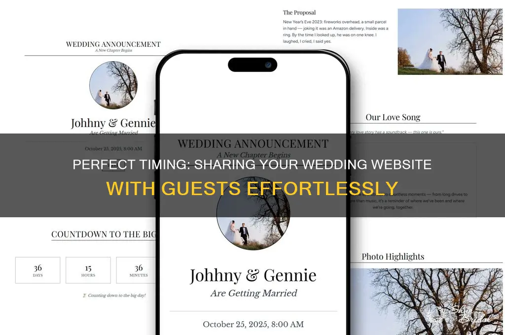 when to give wedding website to guests
