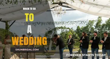 Perfect Timing: When to Attend a Wedding for Maximum Celebration