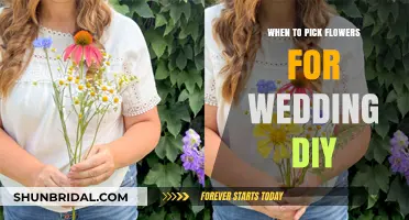 Best Time to Pick Flowers for Your DIY Wedding