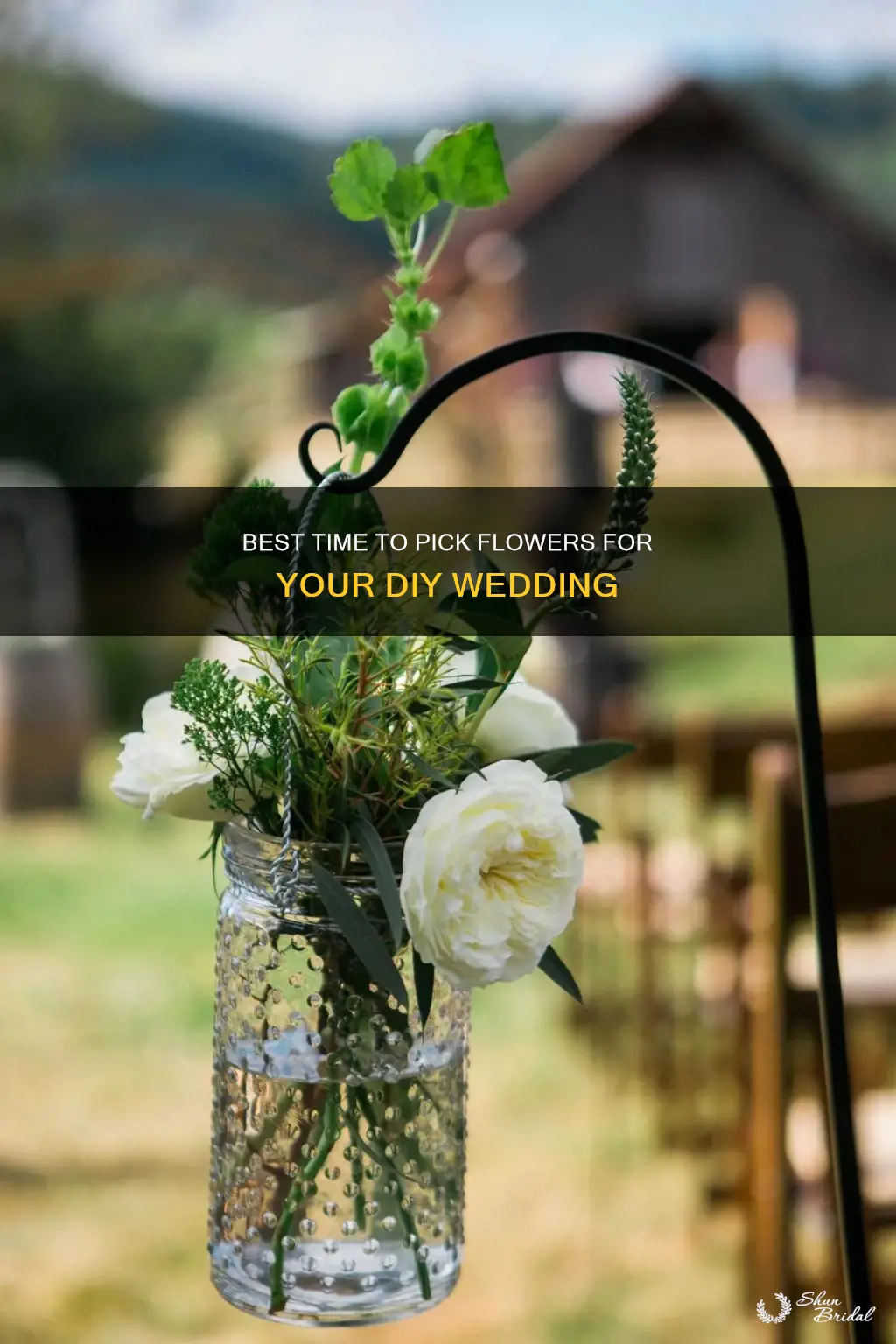 when to pick flowers for wedding diy
