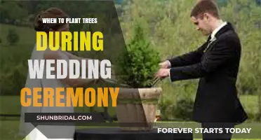 Planting Love: Best Time to Plant Trees During Your Wedding Ceremony
