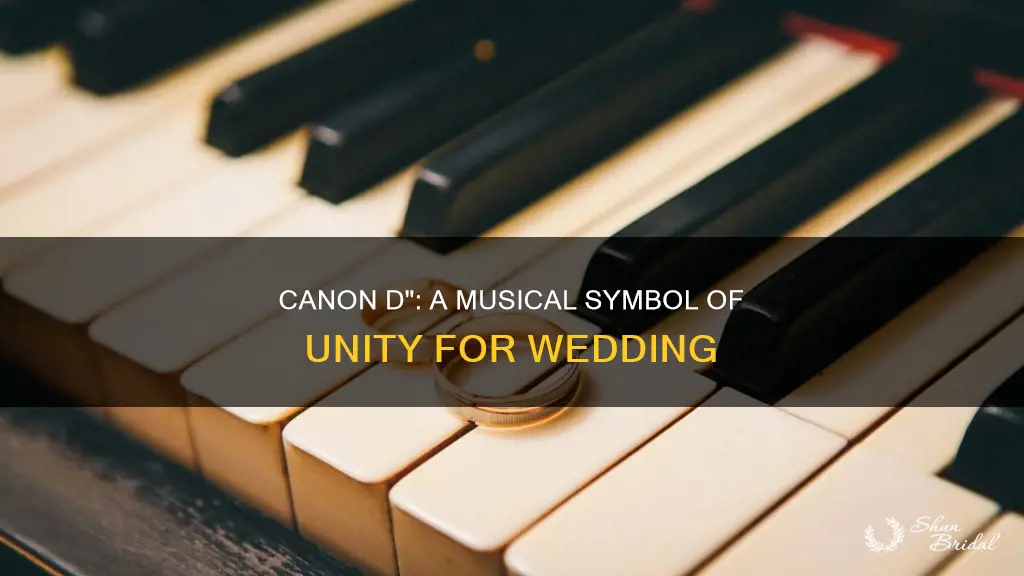 when to play canon d means the wedding