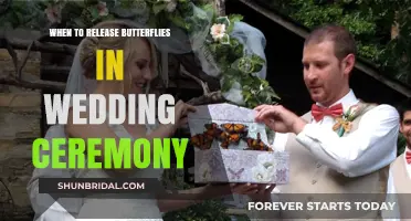 Perfect Timing: Releasing Butterflies in Your Wedding Ceremony