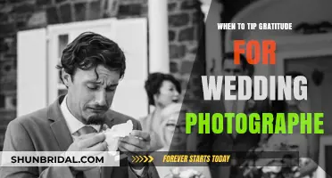Gratitude Gestures for Wedding Photographers: When and How to Tip