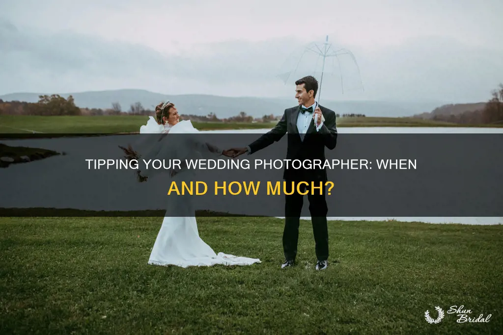 when to tip wedding photographer