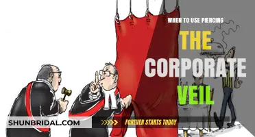 When to Use Piercing the Corporate Veil: Key Legal Insights