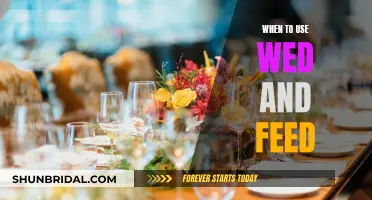 Mastering 'Wed' and 'Feed': Understanding Their Proper Usage