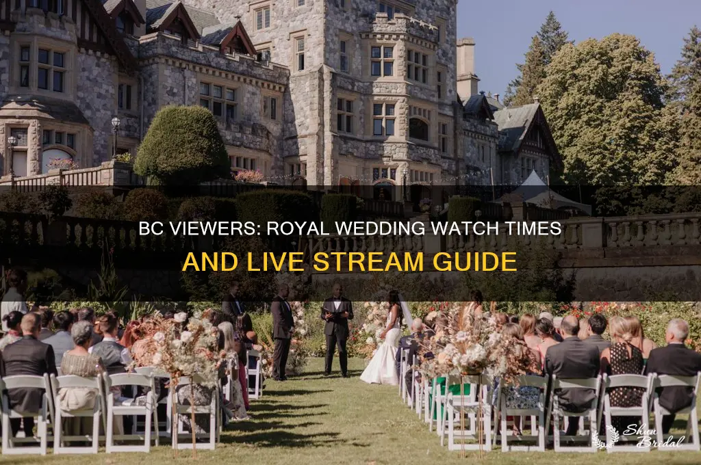 when to watch royal wedding in bc