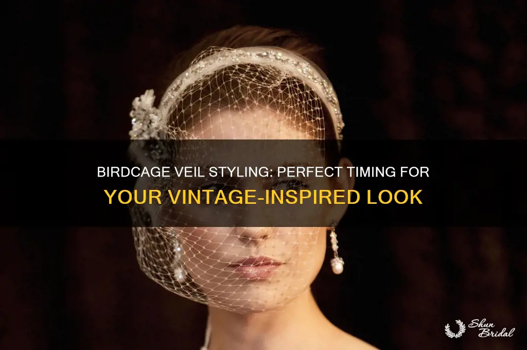 when to wear a birdcage veil