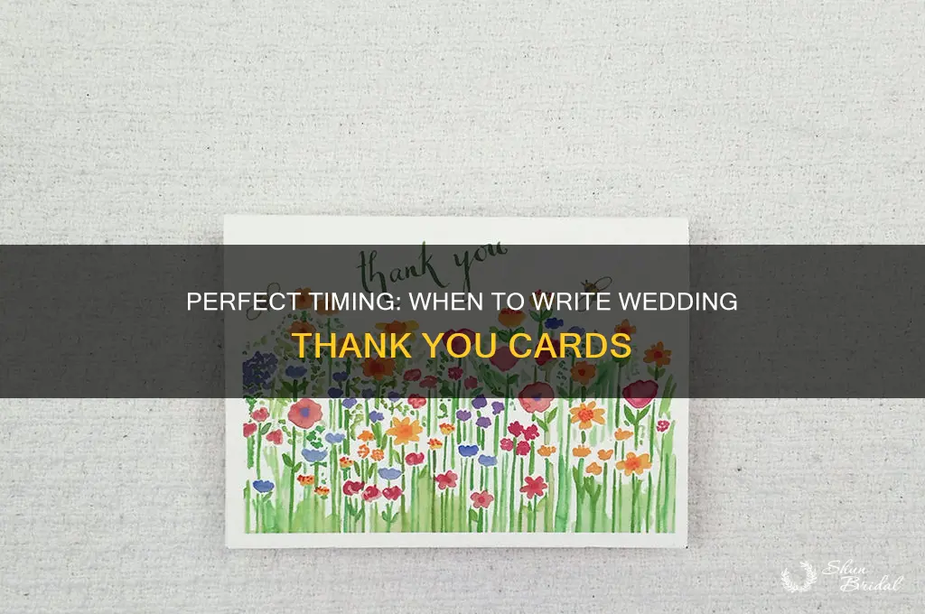 when to write thank you cards for wedding
