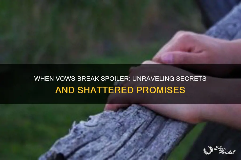 when vows break spoiler
