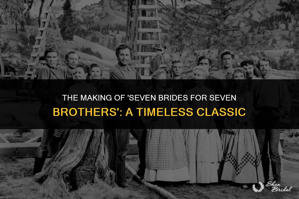 when was 7 brides for 7 brothers made
