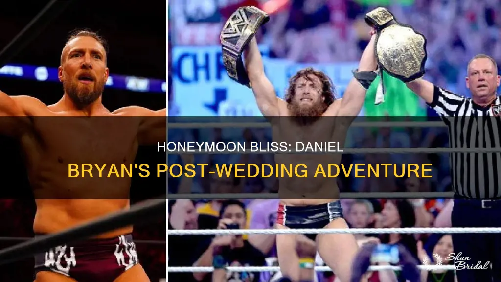 when was daniel bryan on his honeymoon