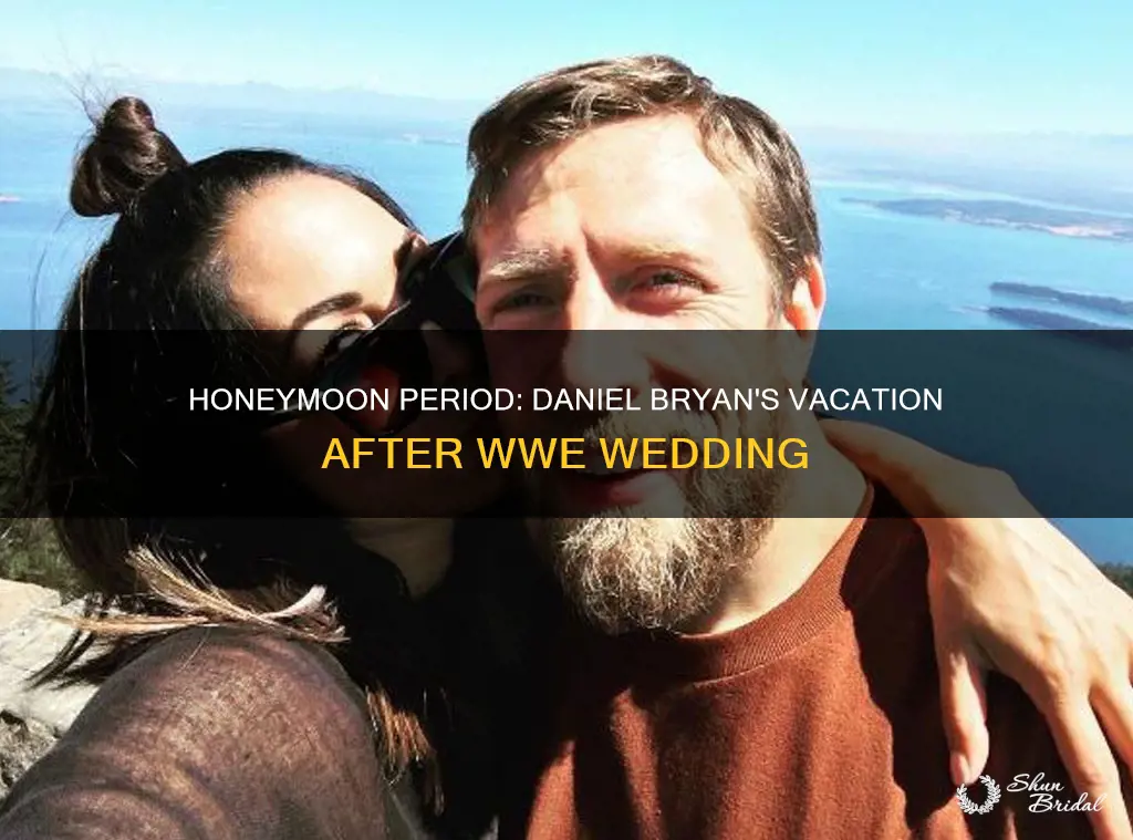 when was daniel bryan on his honeymoon
