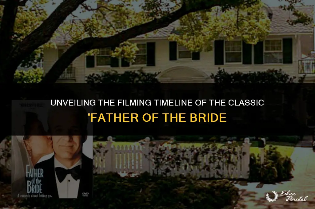 when was father of the bride filmed