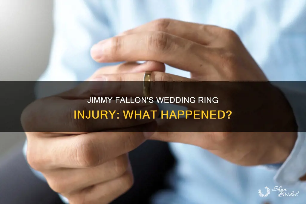 when was jimmy fallon