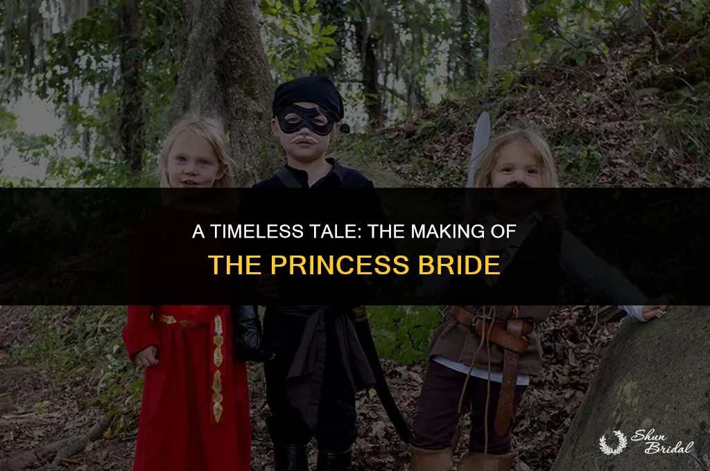 when was princess bride made