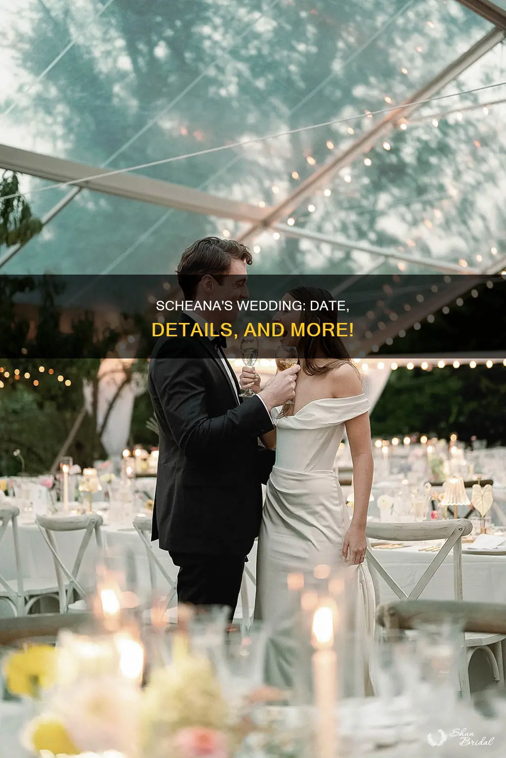 when was schenas wedding