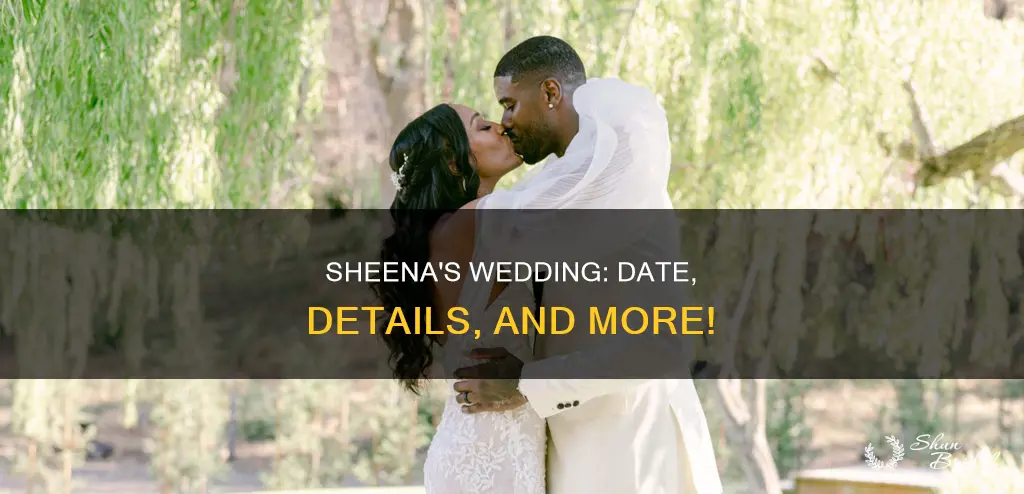 when was sheena