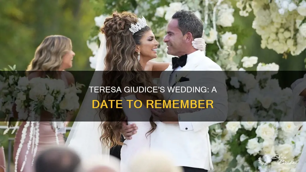 when was teresa giudice wedding