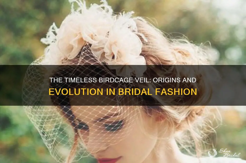 when was the birdcage veil invented