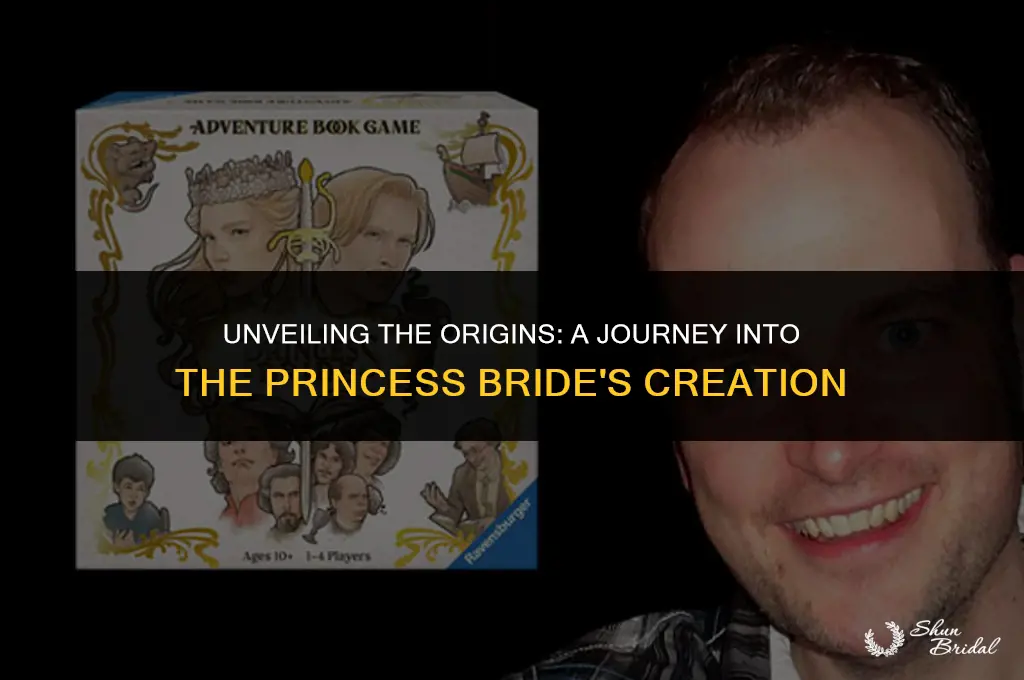 when was the princess bride written