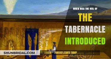 The Tabernacle Veil: Origins and Introduction in Biblical History