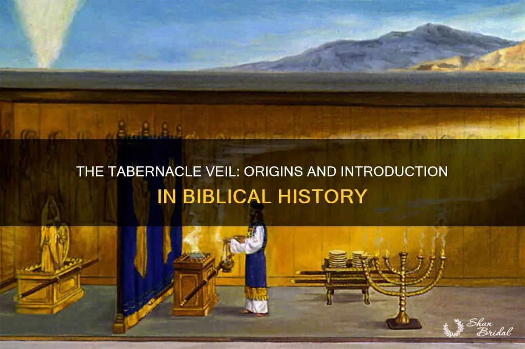 when was the veil of the tabernacle introduced