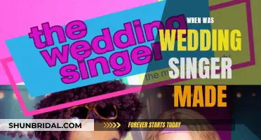 The Wedding Singer: A 90s Classic Comedy