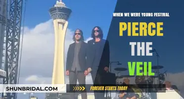Pierce the Veil's Electrifying Performance at When We Were Young Festival