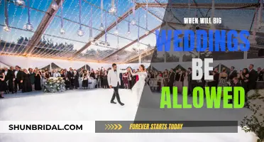 Big Weddings: When Can We Expect Them Back?