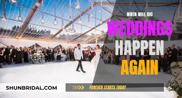 Big Weddings: When Will They Make a Comeback?