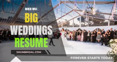 Big Weddings: When Will They Return?