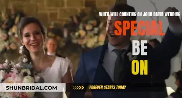 John and Abbie: Wedding Special Air Date