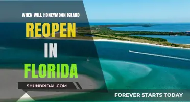 Honeymoon Island Florida Reopening: Updates and What to Expect Soon