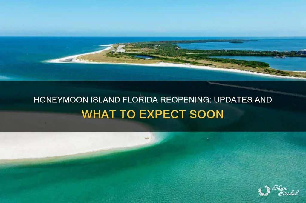 when will honeymoon island reopen in florida