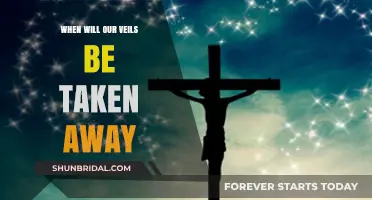When Will Our Veils Be Lifted: Unveiling Eternal Truth and Clarity