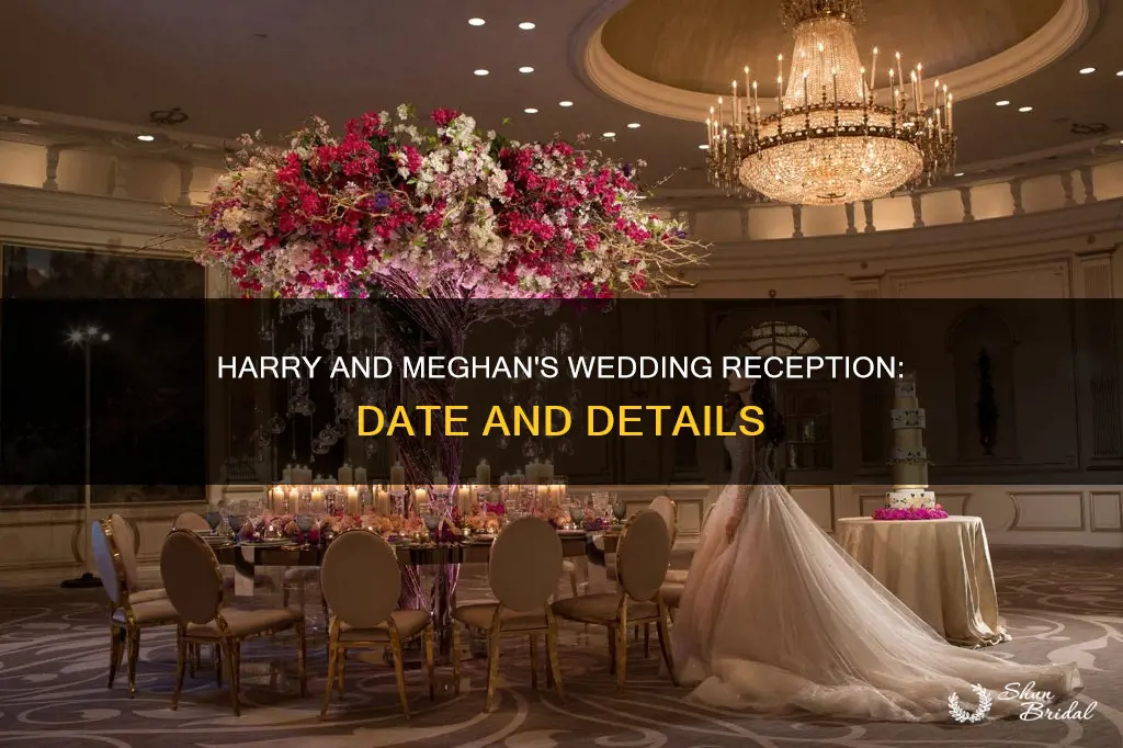 when will see wedding reception of hsrry and meghan