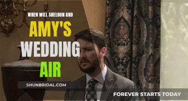 Sheldon and Amy's Wedding: Air Date Revealed!