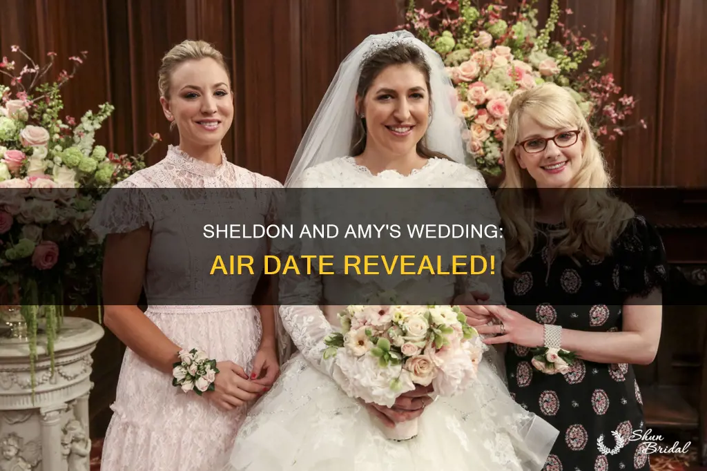 when will sheldon and amy
